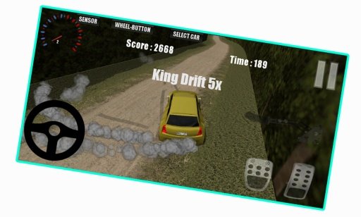 Drift Rally Simulator截图4