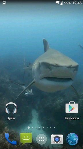 Sharks. Video Wallpaper截图3