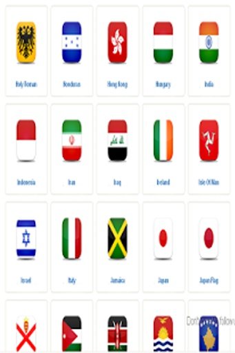 Flags Memory Match截图5