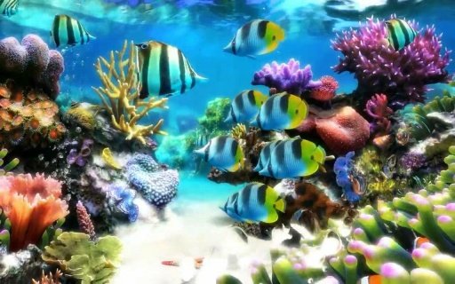 Aquarium 2 live wallpaper截图2