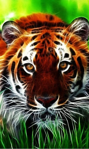 Tigers Live Wallpaper截图8