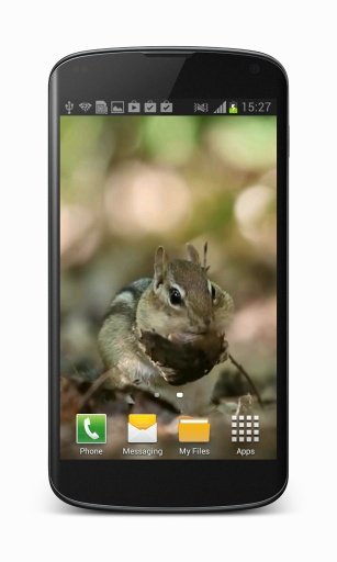 Chipmunk Video Wallpaper截图1