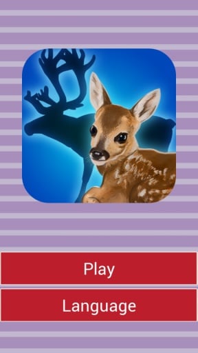 Animal Baby Quiz截图5