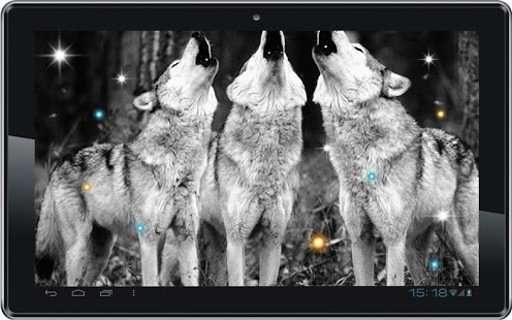 Wolf Voice HD live wallpaper截图3