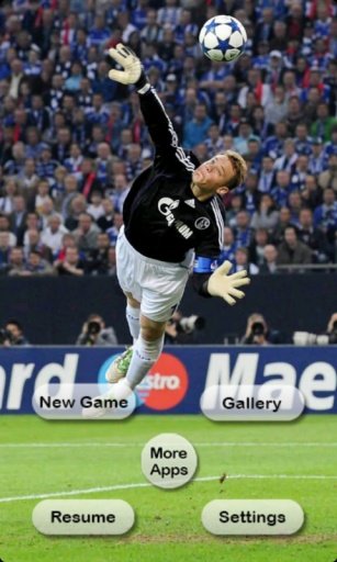 football game:goalkeeper saves截图5