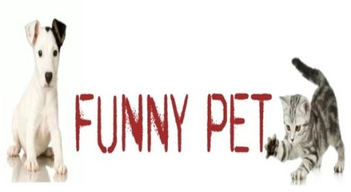 Funny Pet Shop截图1