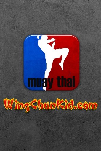 Muay Thai Kick Boxing截图1