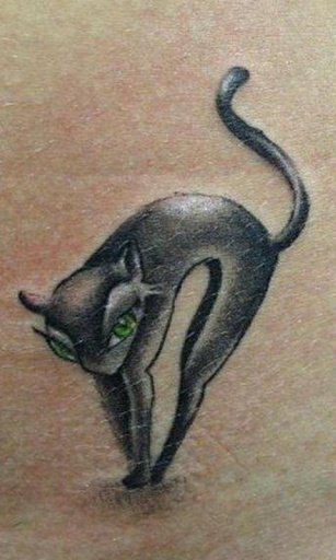 Tattoo Cats Wallpapers截图5