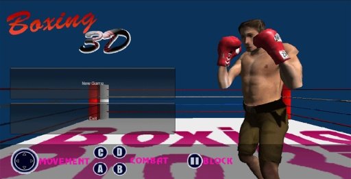 Boxing 3D截图5