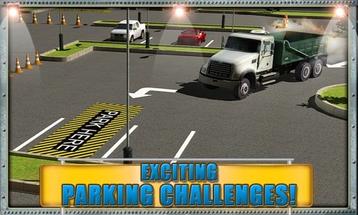 Road Truck Parking Madness 3D截图4