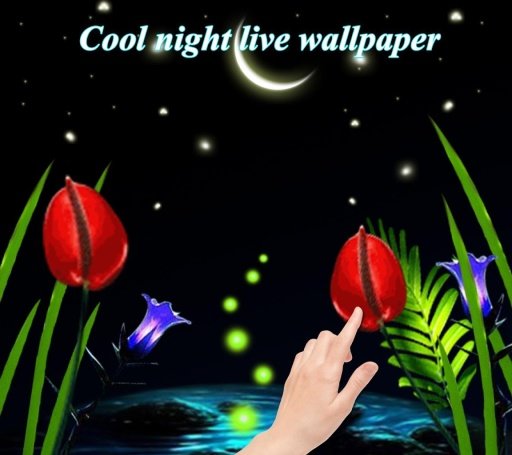 Cool Night live wallpaper截图5