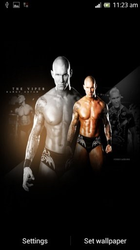 Randy Orton Wallpaper截图1