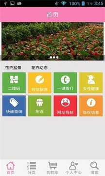 花木盆景截图