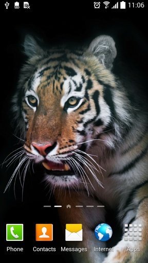 Tiger Live Wallpaper截图1