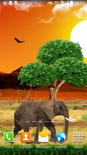 Safari Live Wallpaper截图2