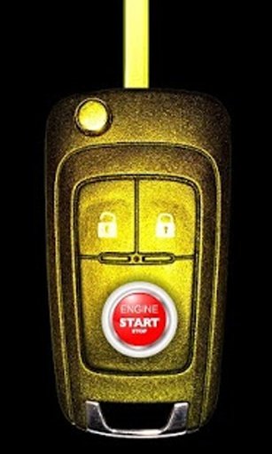 Car Key Gold Edition截图1