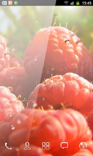 Free Wallpaper Red Raspberry截图3