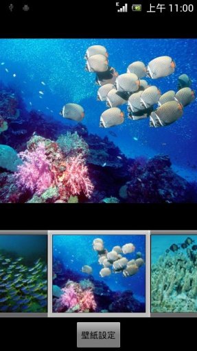 Aquarium Themes截图5