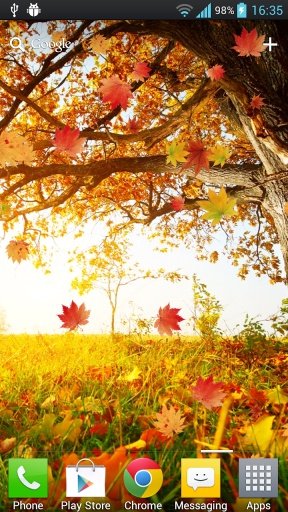 Maple Leaf Live Wallpaper截图4