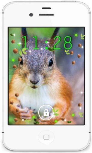 Squirrel Best live wallpaper截图6