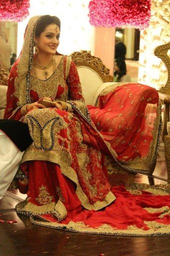 Pakistani Bridal Dresses截图4