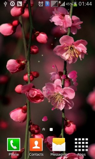 Sakura Blossom Live Wallpaper截图3