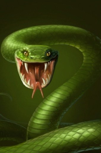 Cobra Snake Live Wallpaper截图2