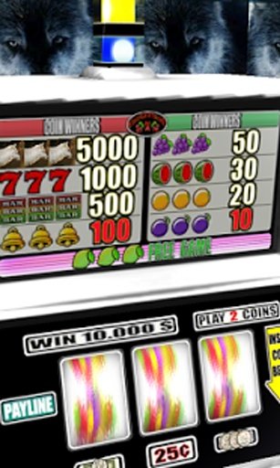 3D First Wolf Slots - Free截图1