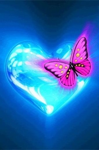 Pink Butterfly In Blue Heart截图1