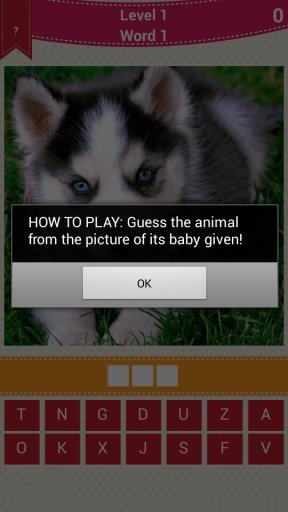 Animal Baby Quiz截图2