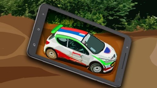 Simulator Rally截图3