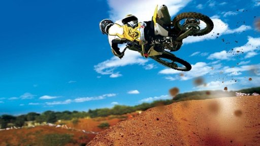 Dirt Bike Mania截图3