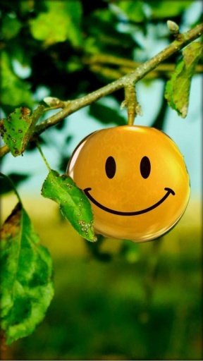 Smiley Live Wallpaper截图4