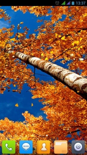 Beautiful Autumn Live Wallpaper FREE截图1