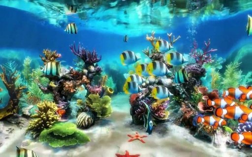 Aquarium 2 live wallpaper截图4