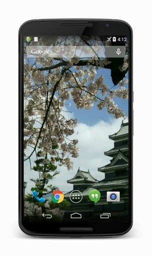 Sakura Video Live Wallpaper截图2