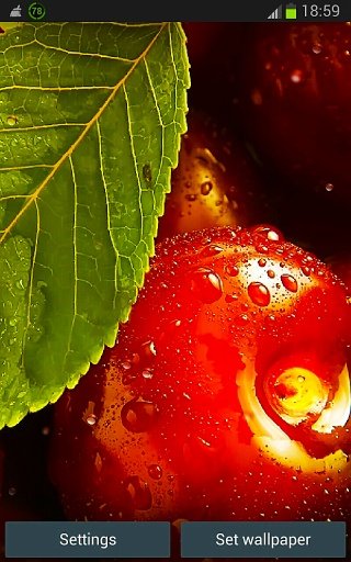 HD Cherry Wallpaper App截图1