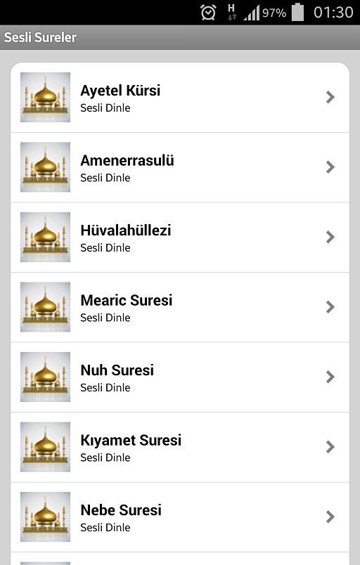 Sesli Sureler-Namaz Hocası-Dini Bilgiler截图4