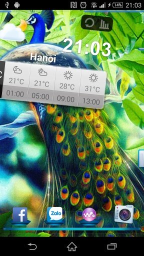 Peacock Live Wallpaper截图6