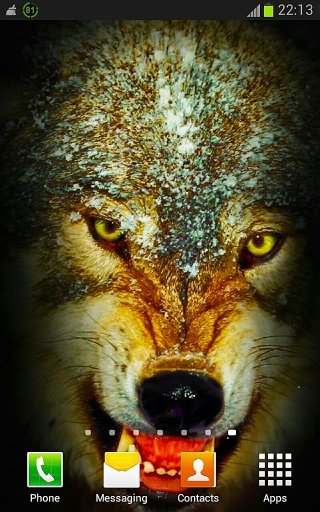 Wolf n Snowfall Live Wallpaper截图2