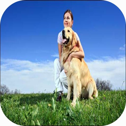 mccanns dog training截图1