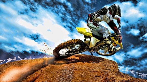 Dirt Bike Mania截图4