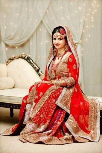 Pakistani Bridal Dresses截图1