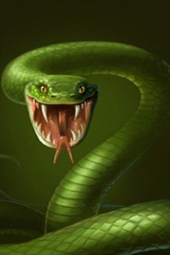 Cobra Snake Live Wallpaper截图1