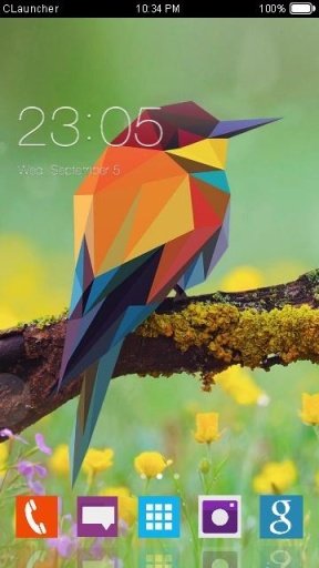 Abstract Birds截图3