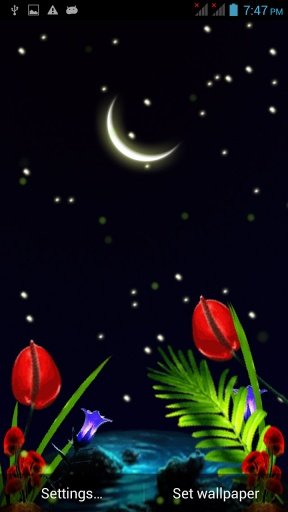 Cool Night live wallpaper截图3