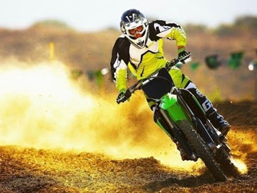 Dirt Bike Mania截图1