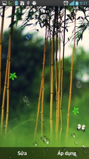 Rain Forest Green Wallpaper截图1