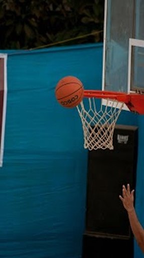 Free Basketball Throw截图1