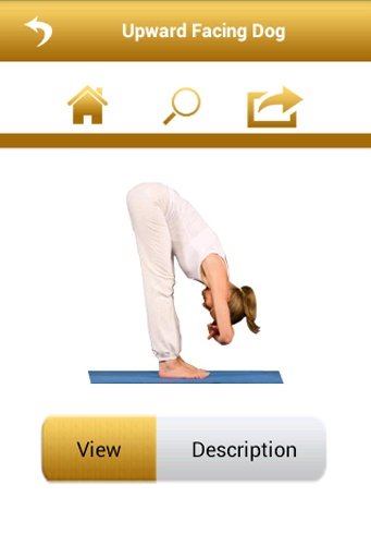 Free Yoga for Backache Relief截图3